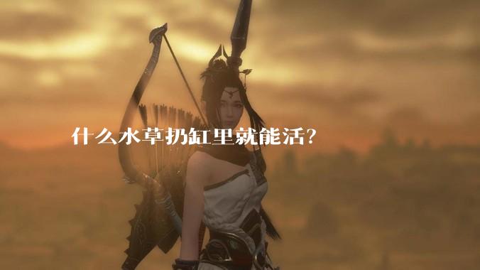 什么水草扔缸里就能活？