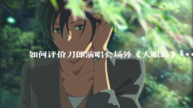 如何评价刀郎演唱会场外《大眼睛》***?