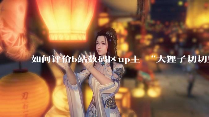如何评价b站数码区up主 “大狸子切切里”?