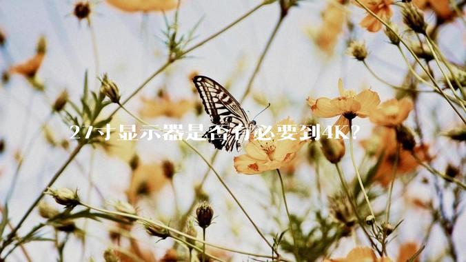 27寸显示器是否有必要到4K？