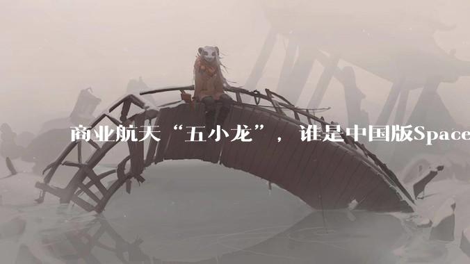 商业航天“五小龙”，谁是中国版SpaceX？_火箭_星链_公司
