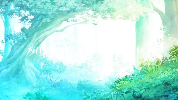 为什么不成立一个***经济特区？