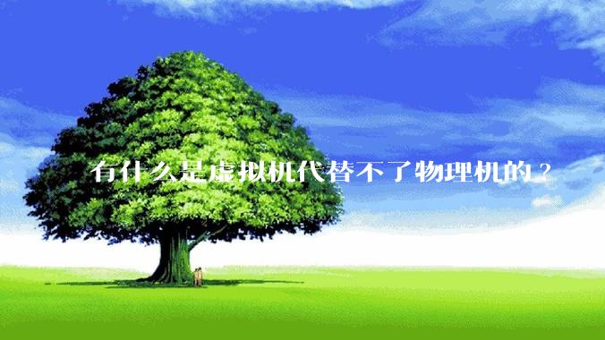 有什么是虚拟机代替不了物理机的?