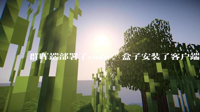 群晖端部署了emby，盒子安装了客户端播放蓝光电影为什么不能显示影片自带字幕？